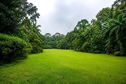 Sixth Avenue (D10), Detached #602699571